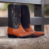 Bota Oval Avestruz Cognac