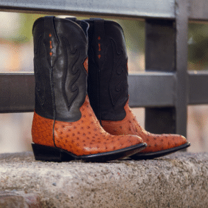 Bota Oval Avestruz Cognac