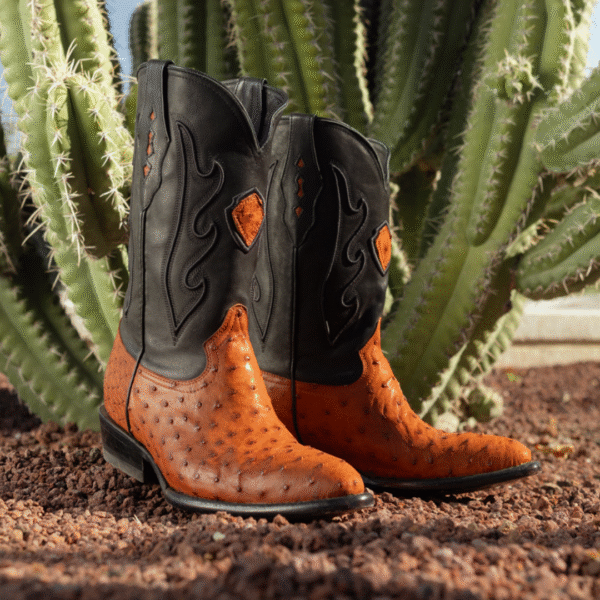 Bota Oval Avestruz Cognac2 Bota Oval Avestruz Cognac
