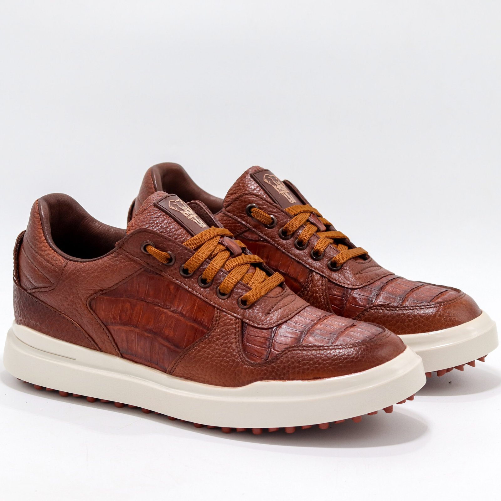 SATURNO COCODRILO COÑAC