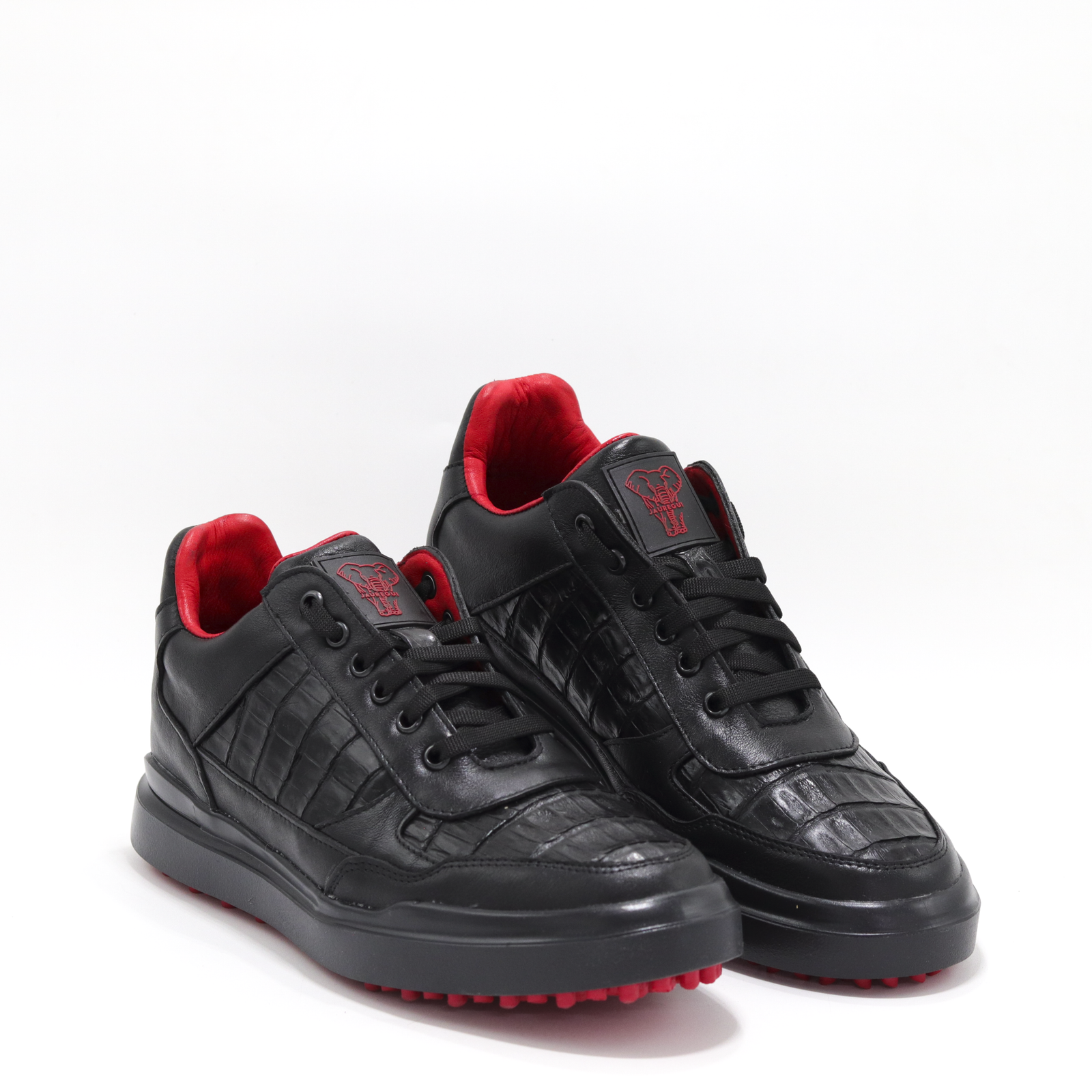 SATURNO COCODRILO NEGRO