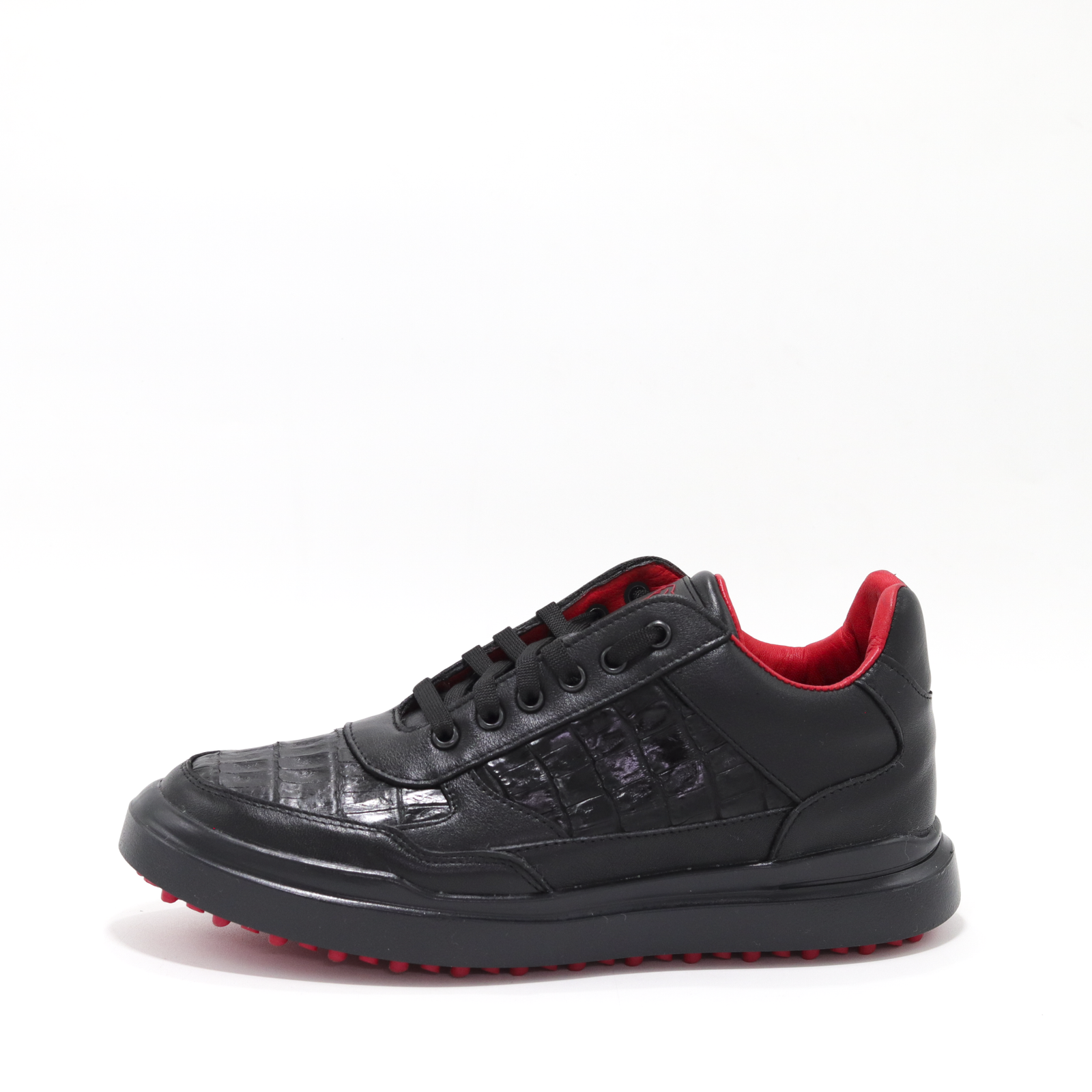 SATURNO COCODRILO NEGRO - Imagen 4